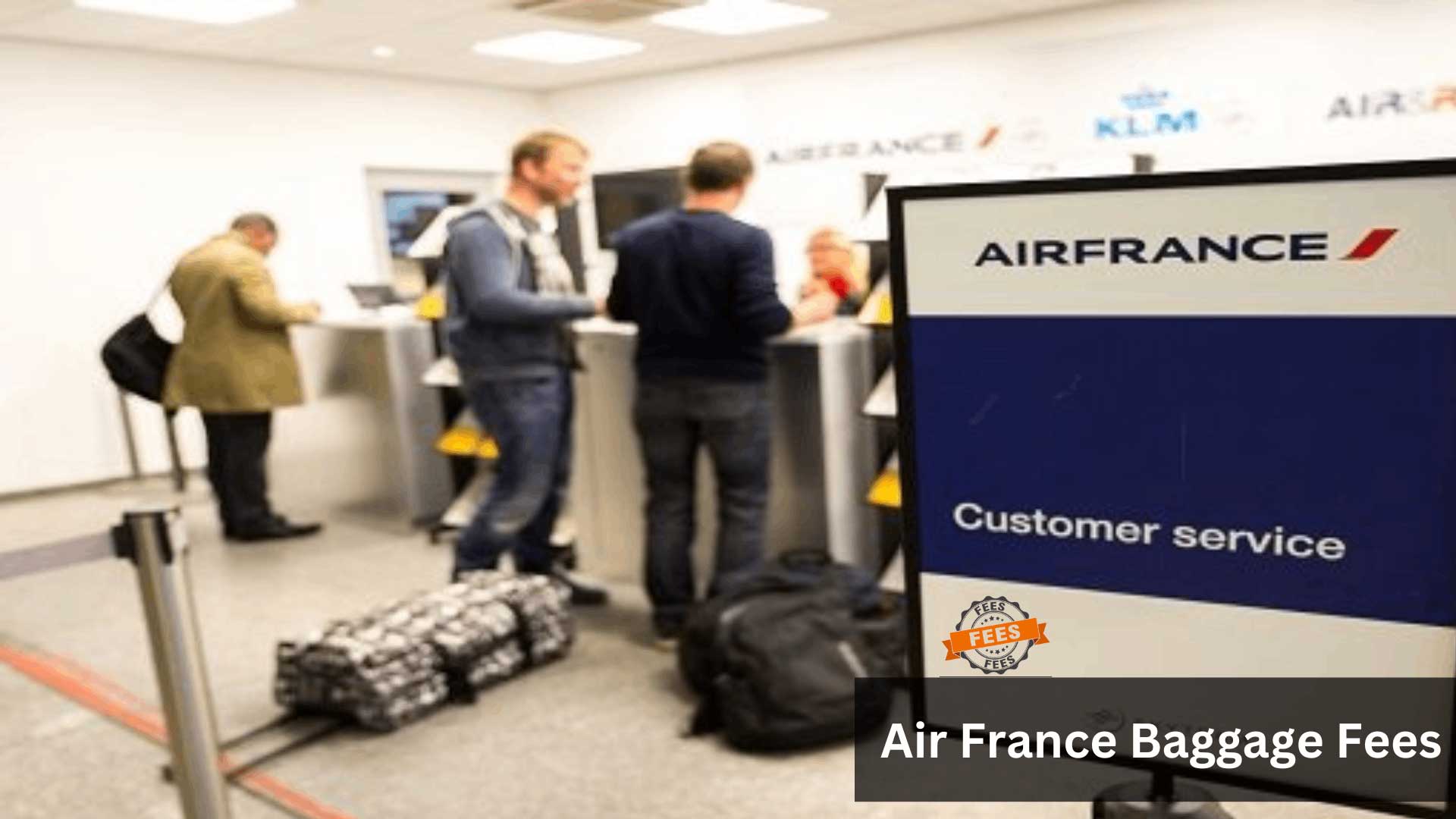Excess Baggage Fees