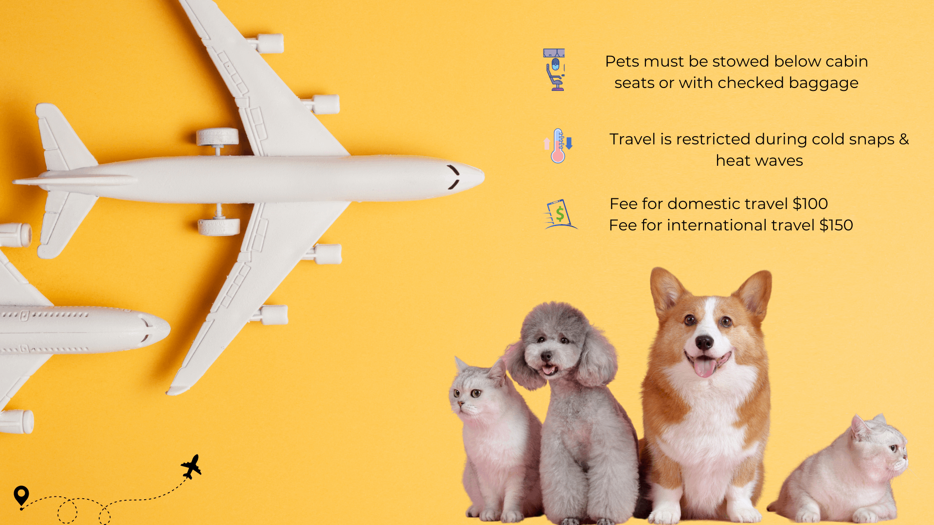 Alaska Airlines Pet Policy
