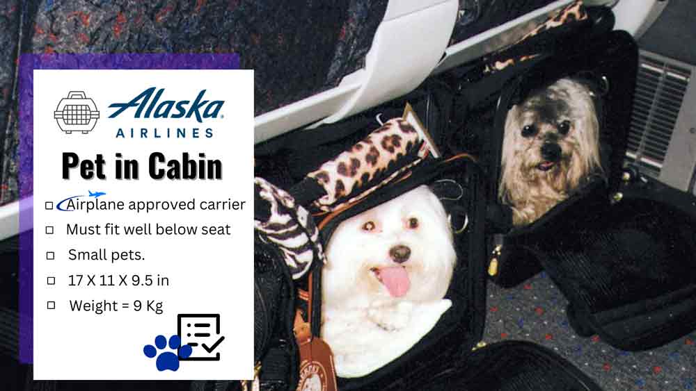 Alaska Airlines Pet Policy