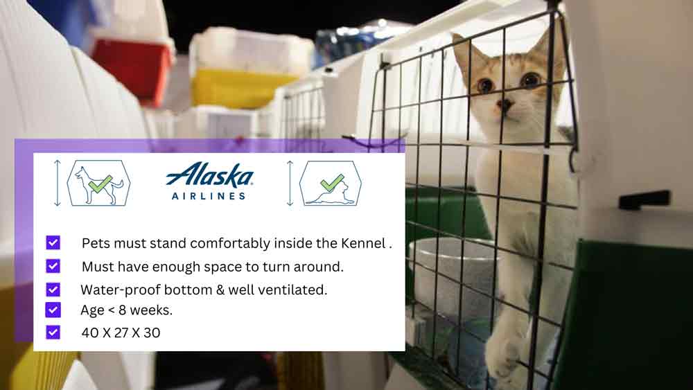 Alaska Airlines Pet Policy