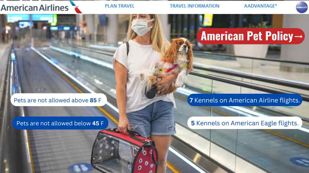 American Airlines Pet Policy 2022