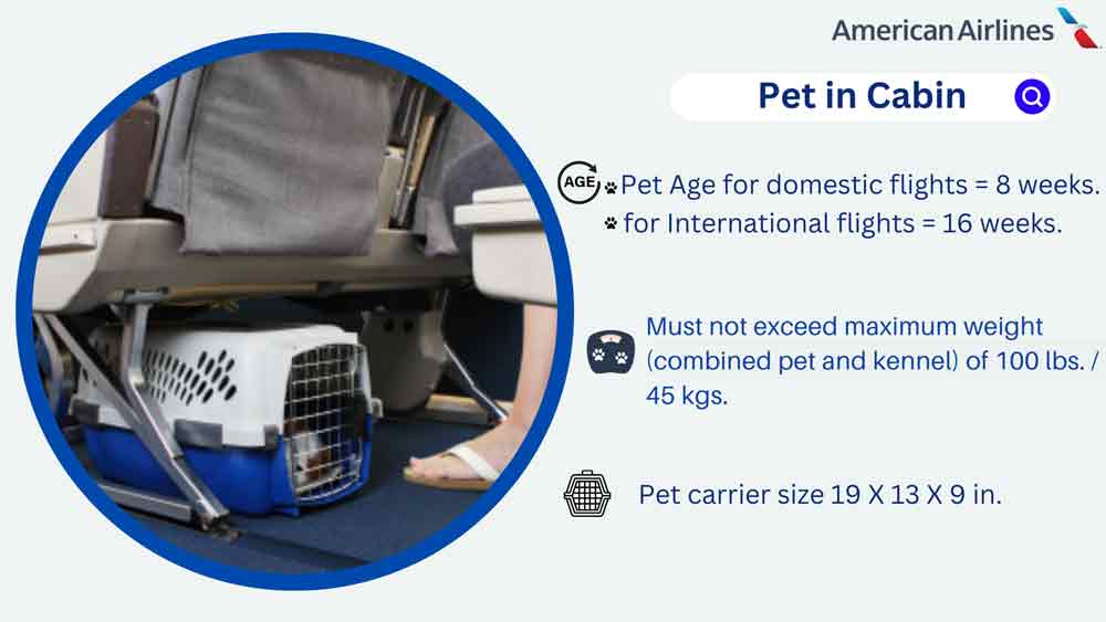 American Airline Pet Policy In Cabin