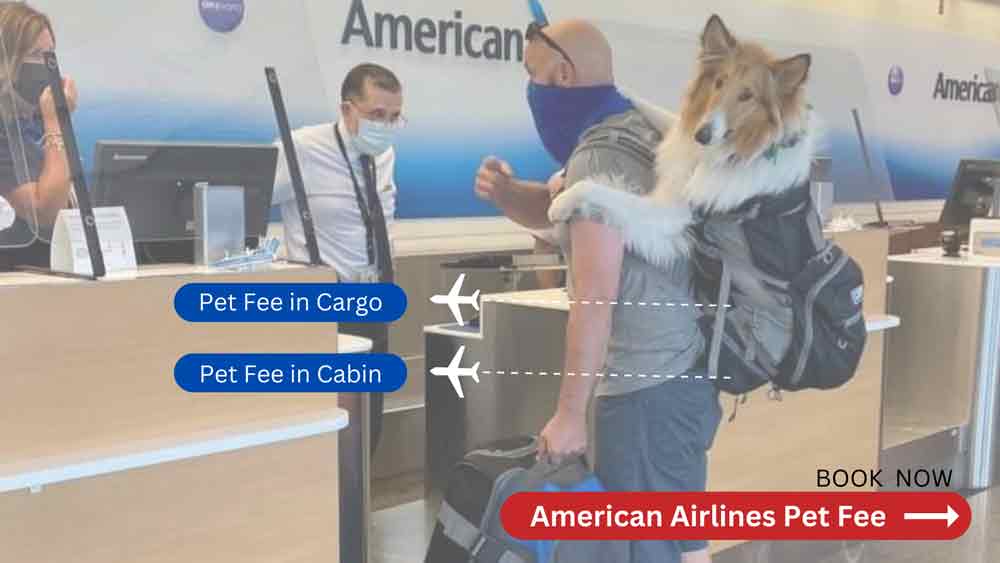 American Airlines Pet Fee 2022