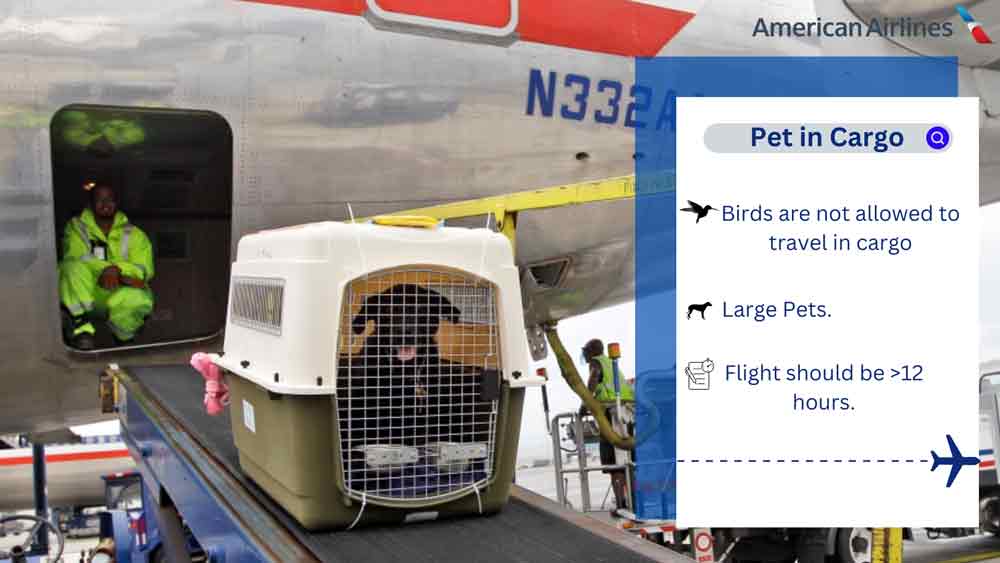 American Airline Pet Travel In Cargo