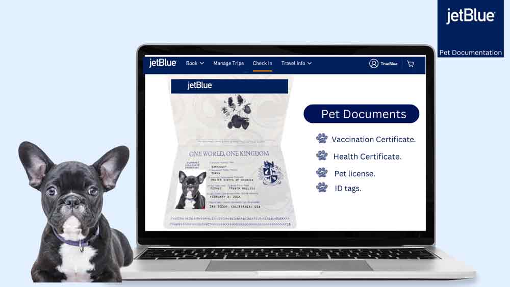 Pet Documentation