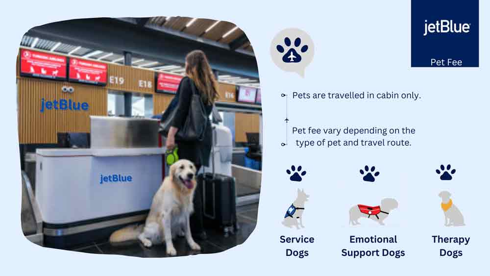 Pet Fee