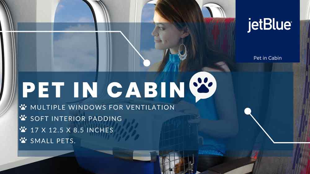 pets in cabin